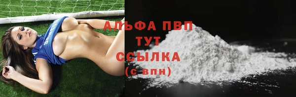 ECSTASY Новодвинск