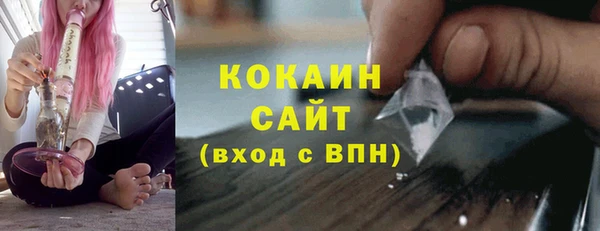 индика Надым