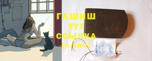 дживик Козельск