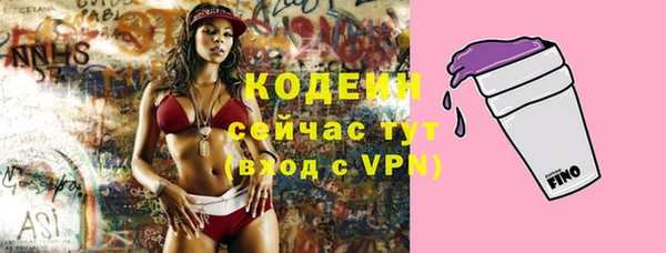 PSILOCYBIN Киренск